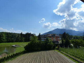 Landschaft am Weiher