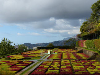 Der Botanische Garten