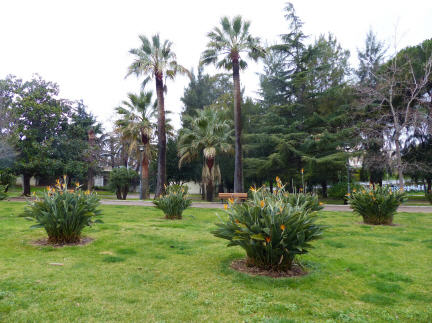 Park von Antibes 