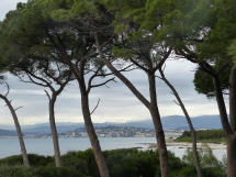 Auf der Insel Ste-Marguerite 