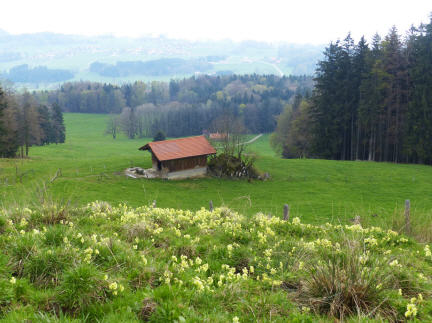 Auf der Alm